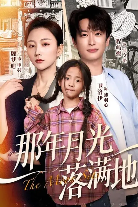 《那年月光落满地》封面