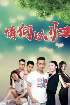 《情何以归》封面