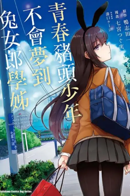 《青春期猪头少年不做兔女郎学姐的梦》封面