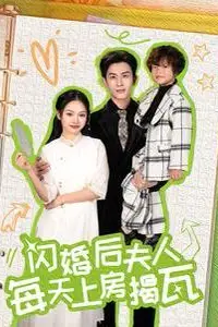 《闪婚后夫人每天上房揭瓦》封面