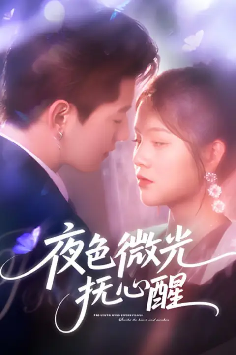 《夜色微光抚心醒》封面