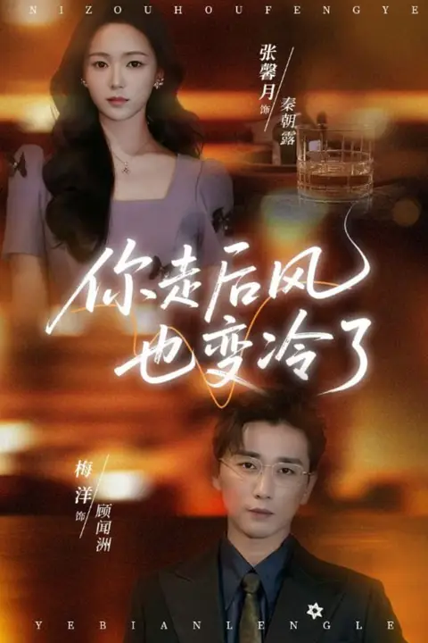 《你走后风也变冷了（雨烬闻洲悔）》封面