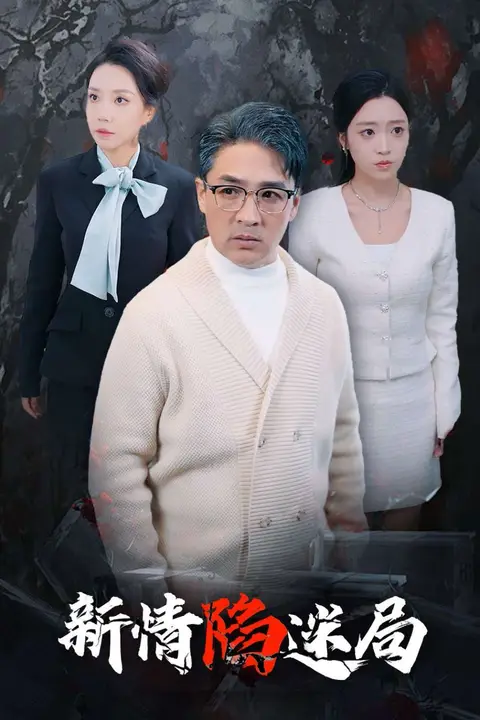 《新情陷迷局》封面