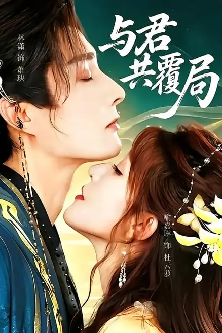 《与君共覆局》封面