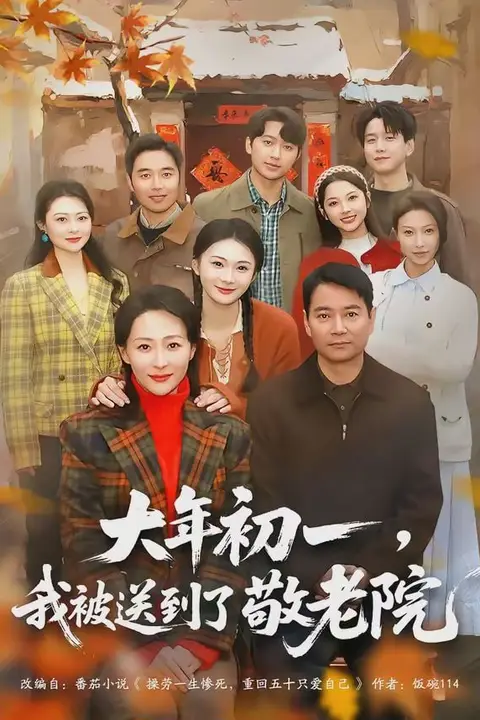 《大年初一,我被送到了敬老院》封面