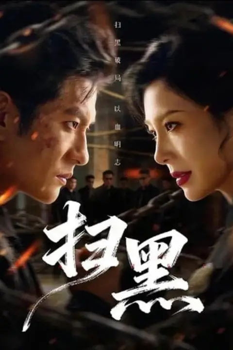 《扫黑》封面