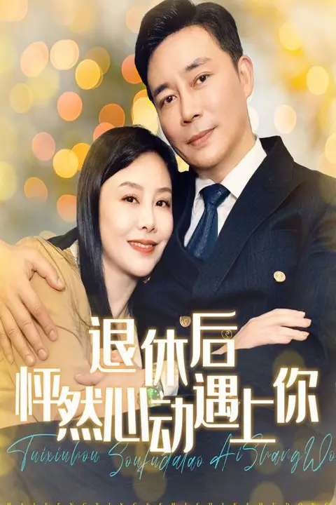 《退休后怦然心动遇上你》封面