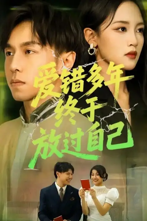 《爱错多年终于放过自己》封面