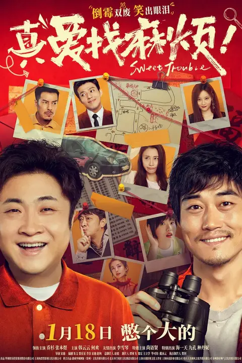 《真爱找麻烦》封面