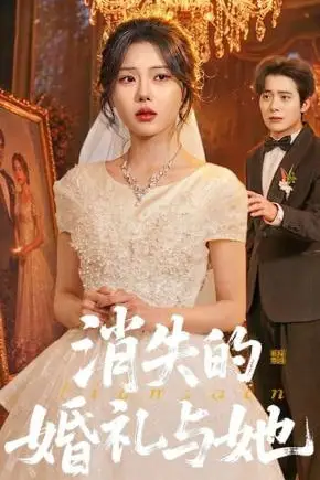 《消失的婚礼与她》封面