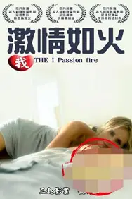 《我激情如火》封面