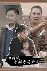 《团圆饭手撕奇葩亲戚》封面