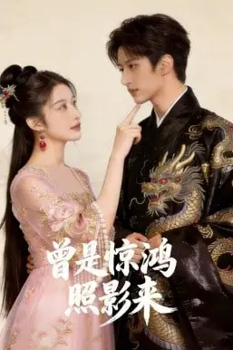 《曾是惊鸿照影来》封面