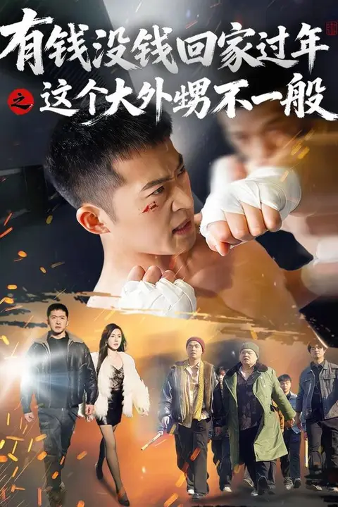 《有钱没钱回家过年之这个大外甥不一般》封面
