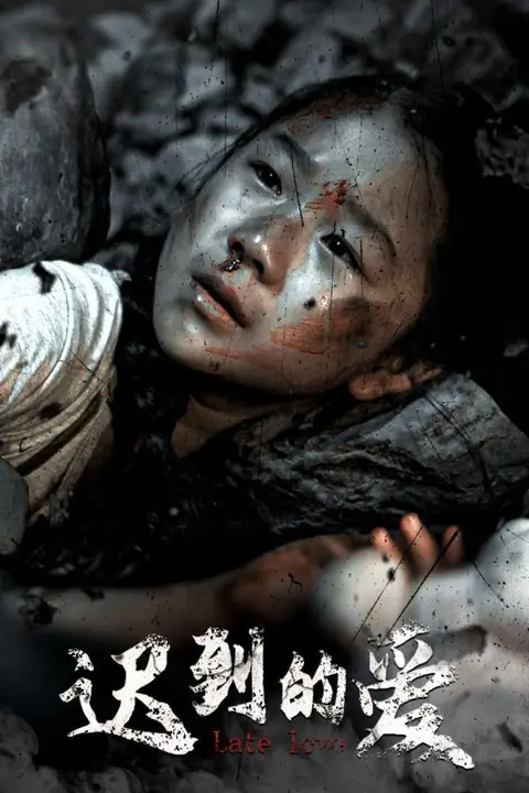《迟到的爱》封面