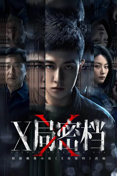 《X局密档》封面