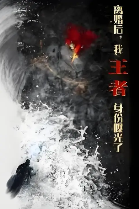 《离婚后,我王者身份曝光了》封面