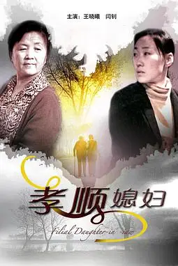 《孝顺媳妇》封面