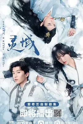《灵域》封面