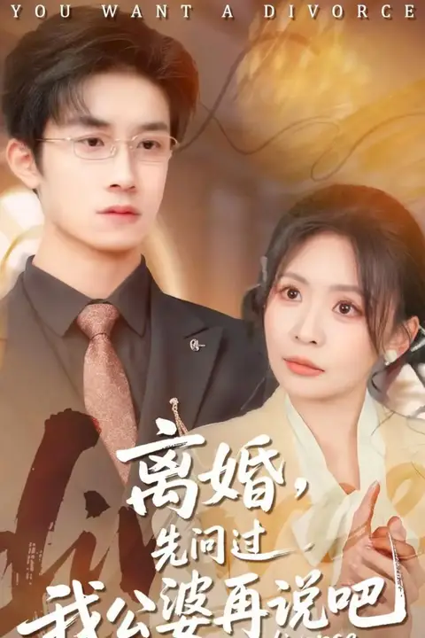 《离婚，先问过我公婆再说吧》封面
