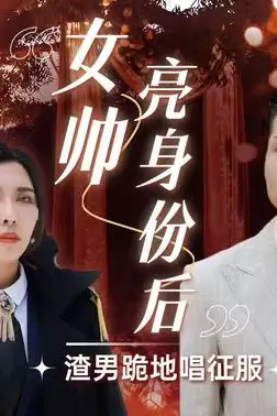 《女帅亮身份后渣男跪地唱征服》封面