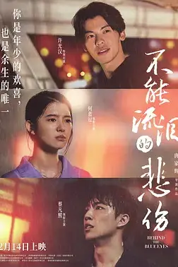 《不能流泪的悲伤》封面