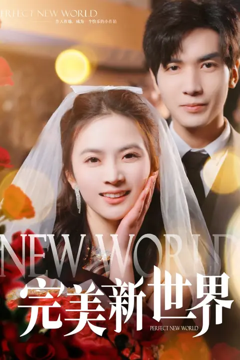 《完美新世界》封面