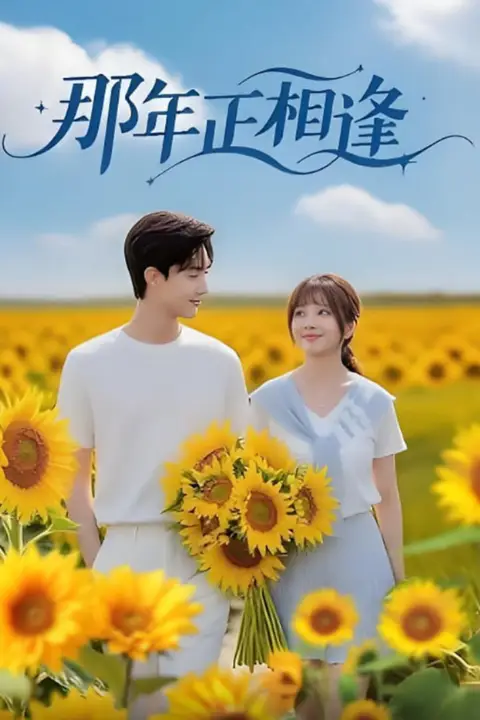 《那年正相逢》封面