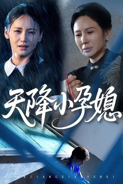 《天降小孕媳》封面
