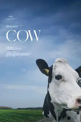 《奶牛 2021》封面