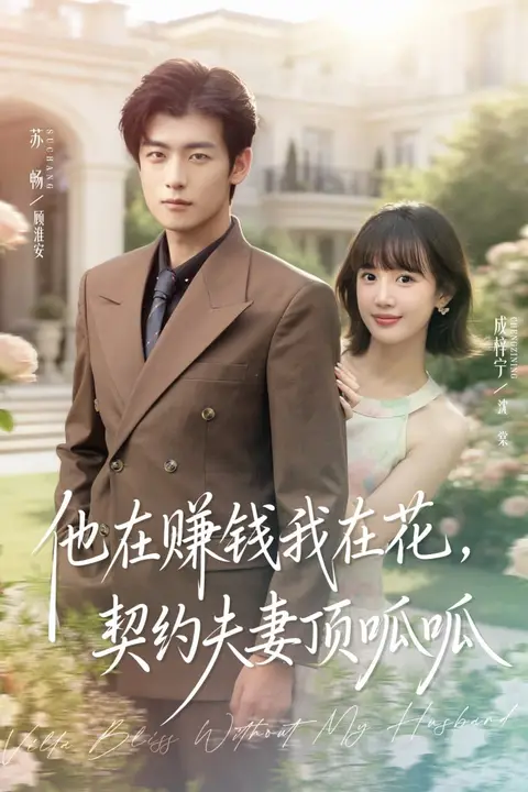 《他在赚钱我在花，契约夫妻顶呱呱》封面
