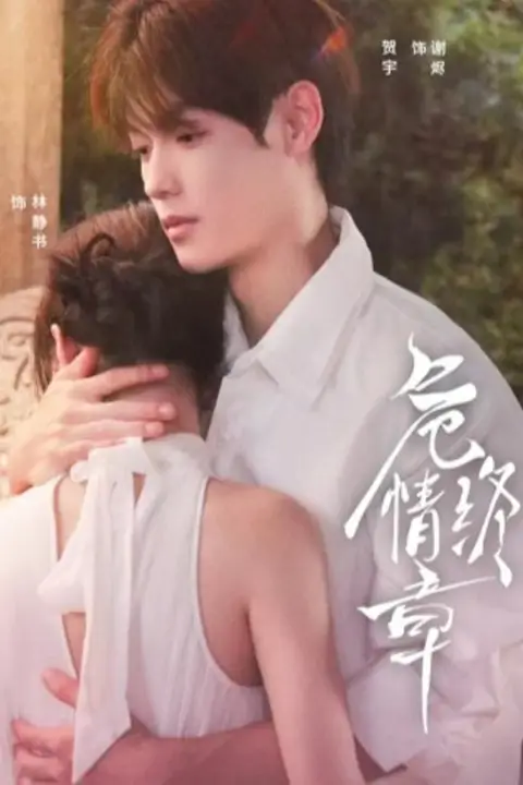 《危情终章》封面