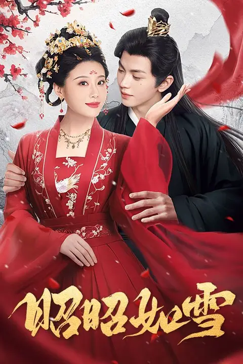 《昭昭如雪》封面