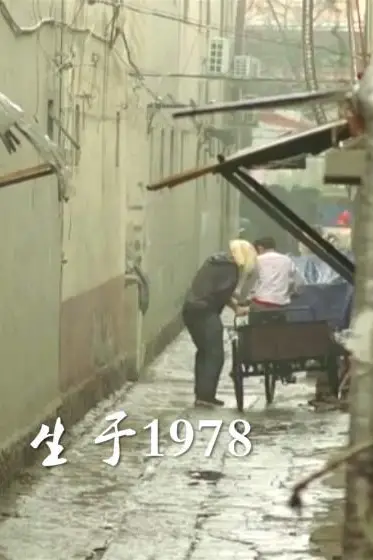 《生于1978》封面