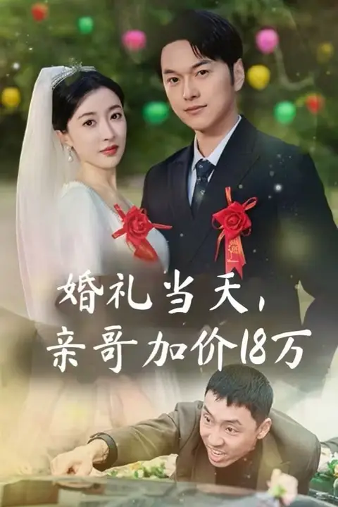 《婚礼当天，亲哥加价18万》封面