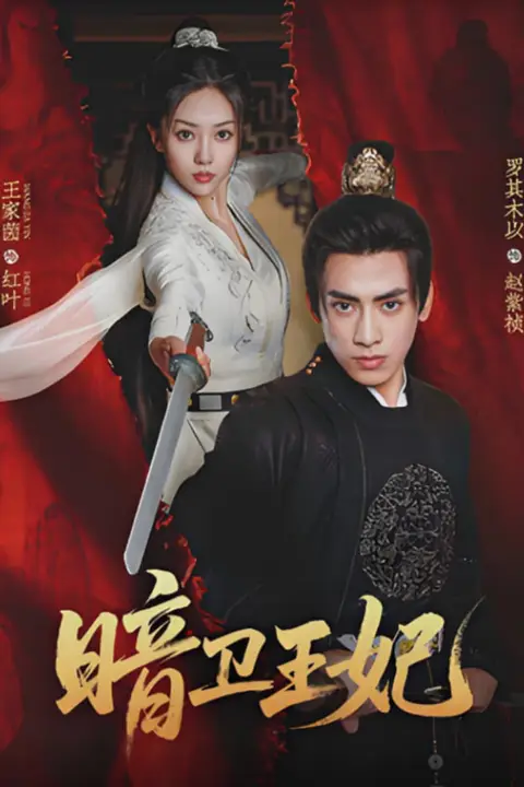 《暗卫王妃》封面