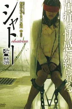 《城堡监禁》封面