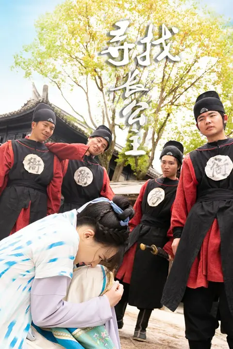 《寻找长公主》封面