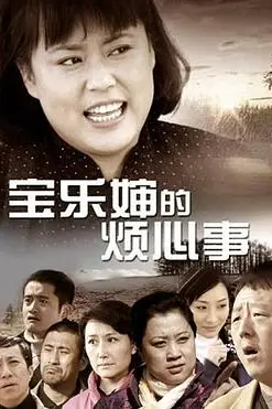 《宝乐婶的烦心事》封面