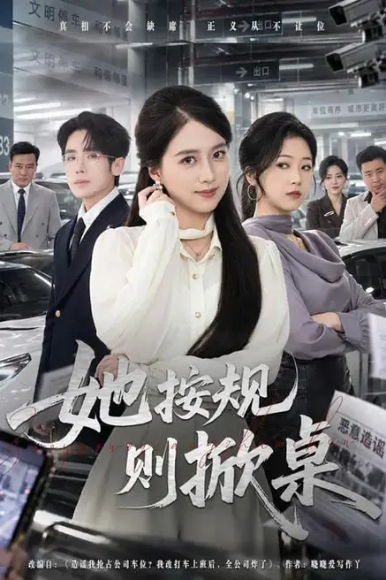 《她按规则掀桌》封面