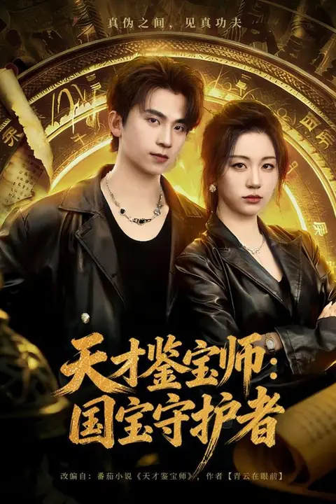 《天才鉴宝师：国宝守护者》封面