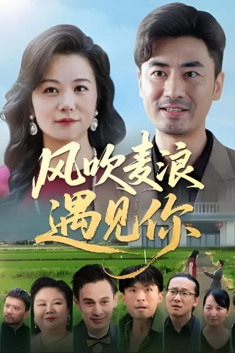 《风吹麦浪遇见你》封面