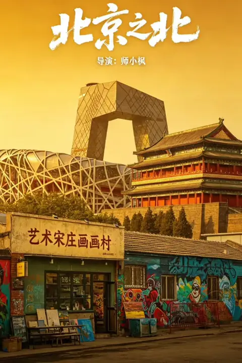《北京偏北——宋》封面