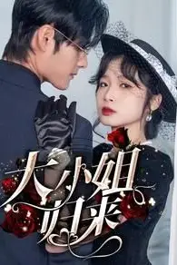 《大小姐归来》封面