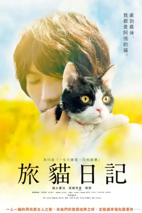 《旅猫日记》封面