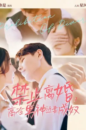 《禁止离婚，高冷男神追妻成奴》封面