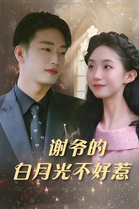 《谢爷的白月光不好惹》封面