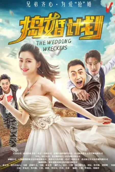 《捣婚计划》封面