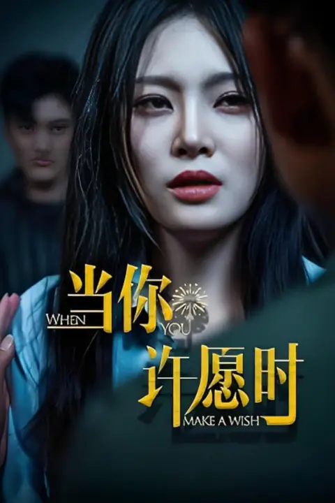 《当你许愿时》封面