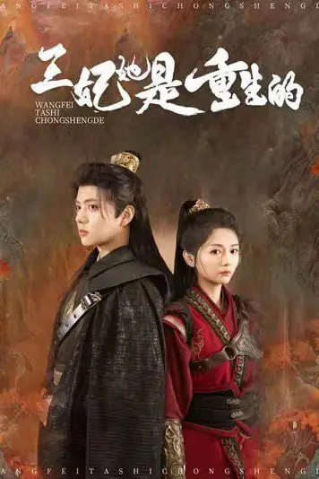 《王妃她是重生的》封面